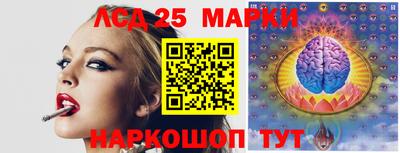 гашик Новодвинск