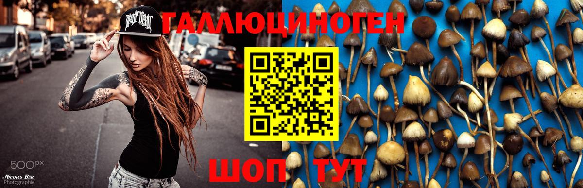 Галлюциногенные грибы Psilocybe  Галлюциногенные грибы ЛСД  Томск  где найти   Вход с VPN 